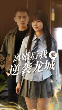 离婚后我要逆袭龙城第02集