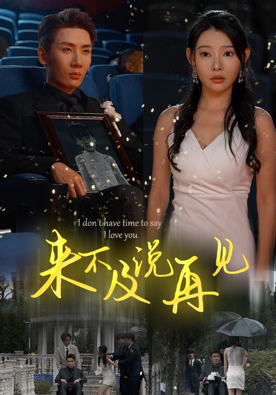 来不及说再见第22集
