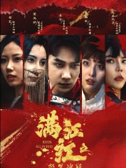 满江红之怒发冲冠第30集
