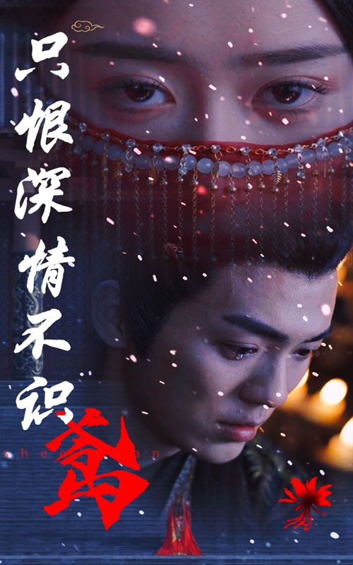 只恨深情不识鸢第81集