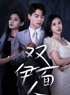 双面伊人第12集