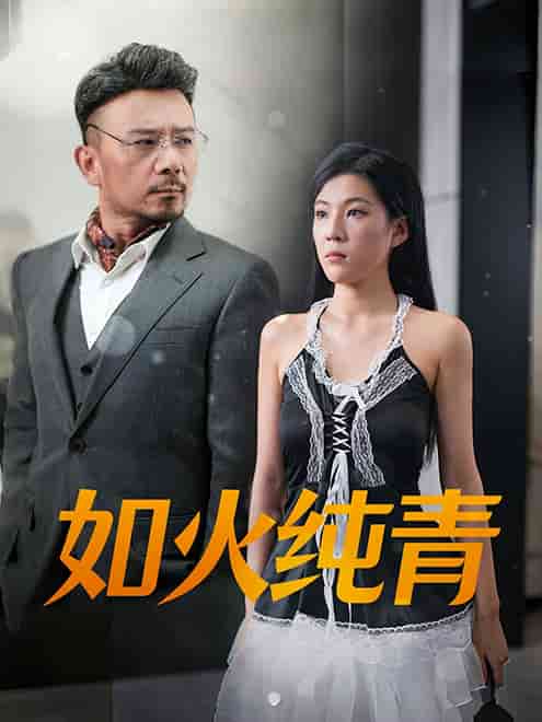 如火纯青第27集