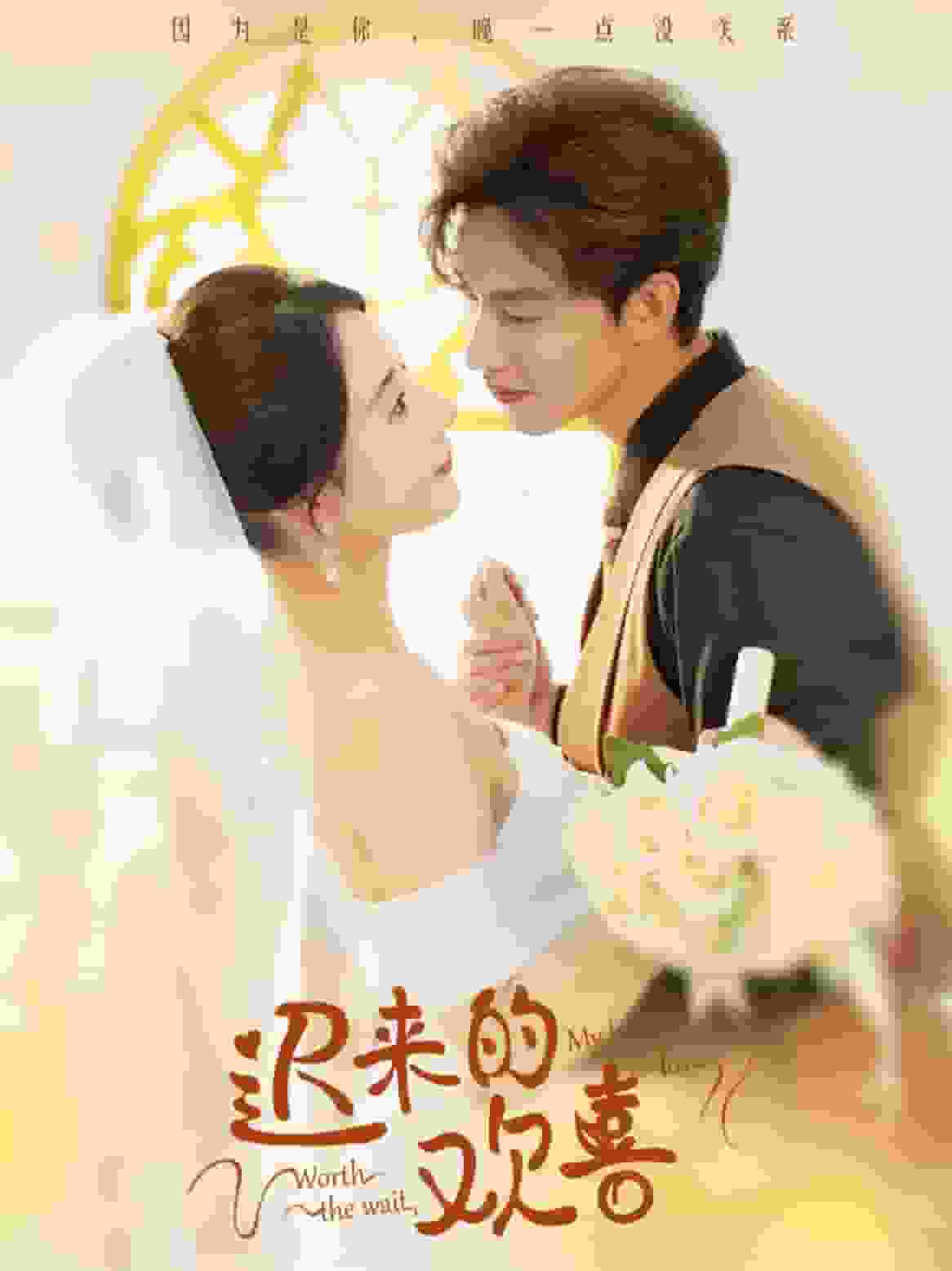 迟来的欢喜第17集