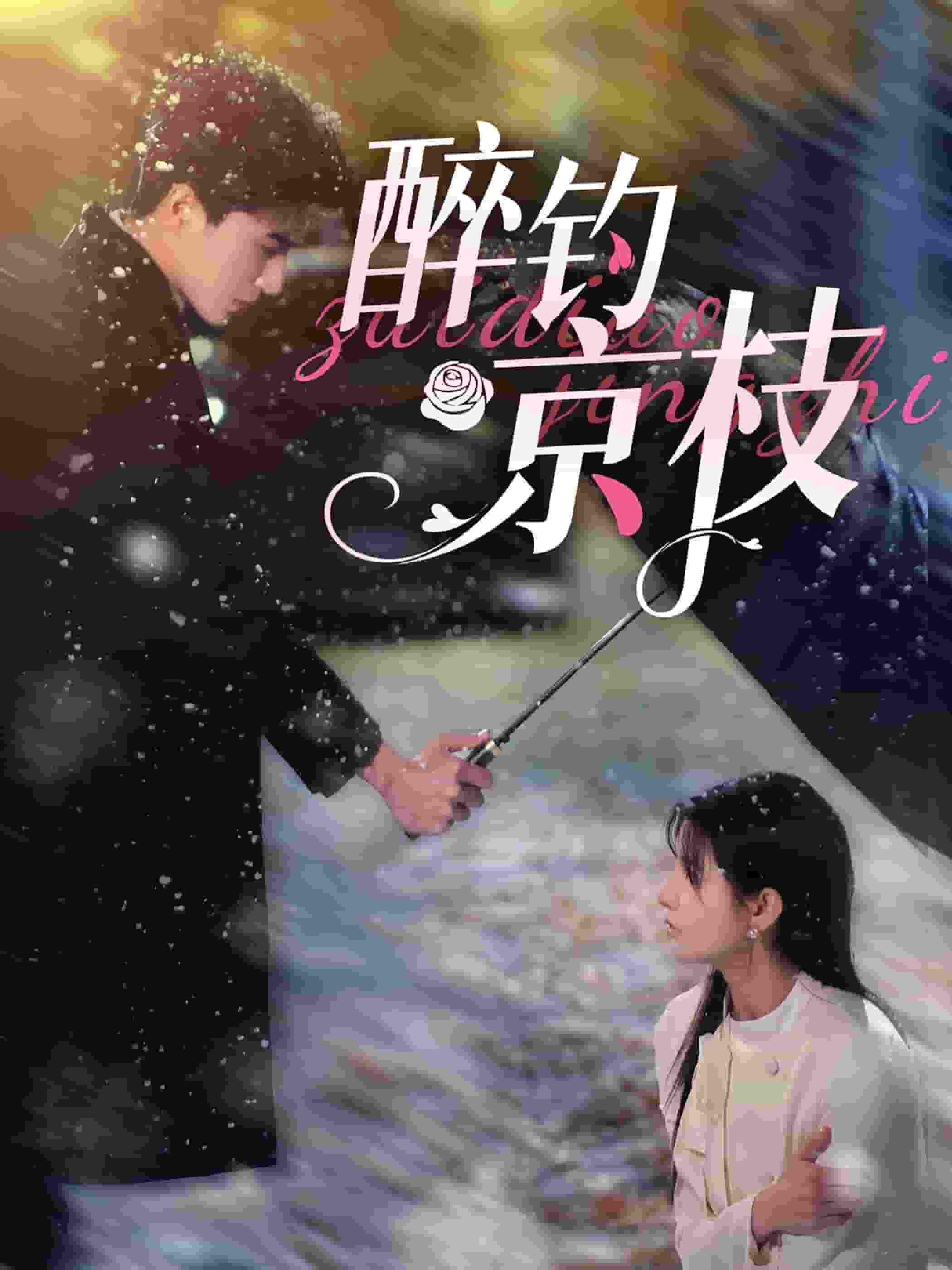 醉钓京枝第01集