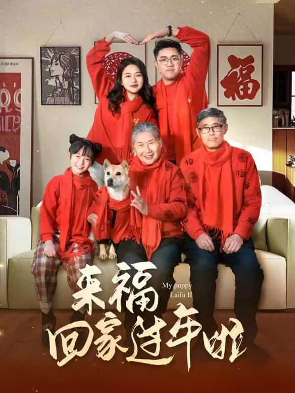 来福回家过年啦第9集