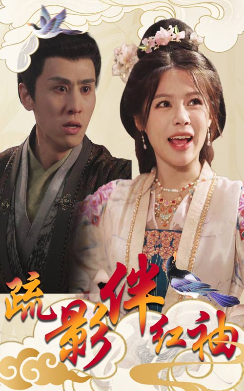 疏影伴红袖第24集