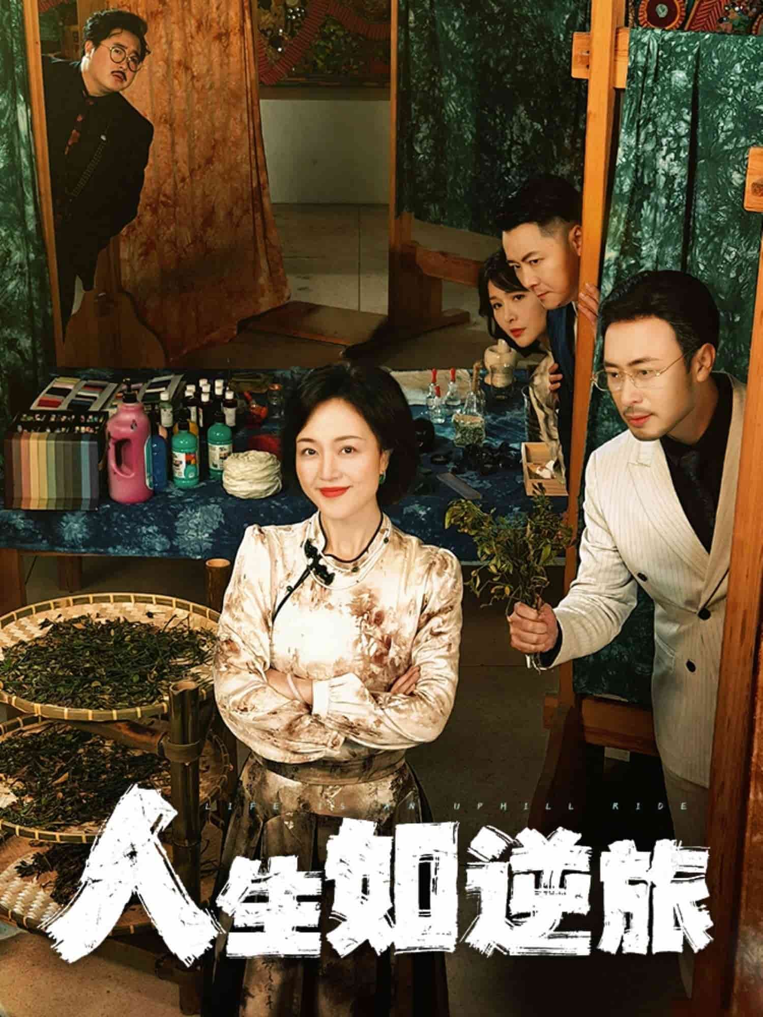 人生如逆旅第1集