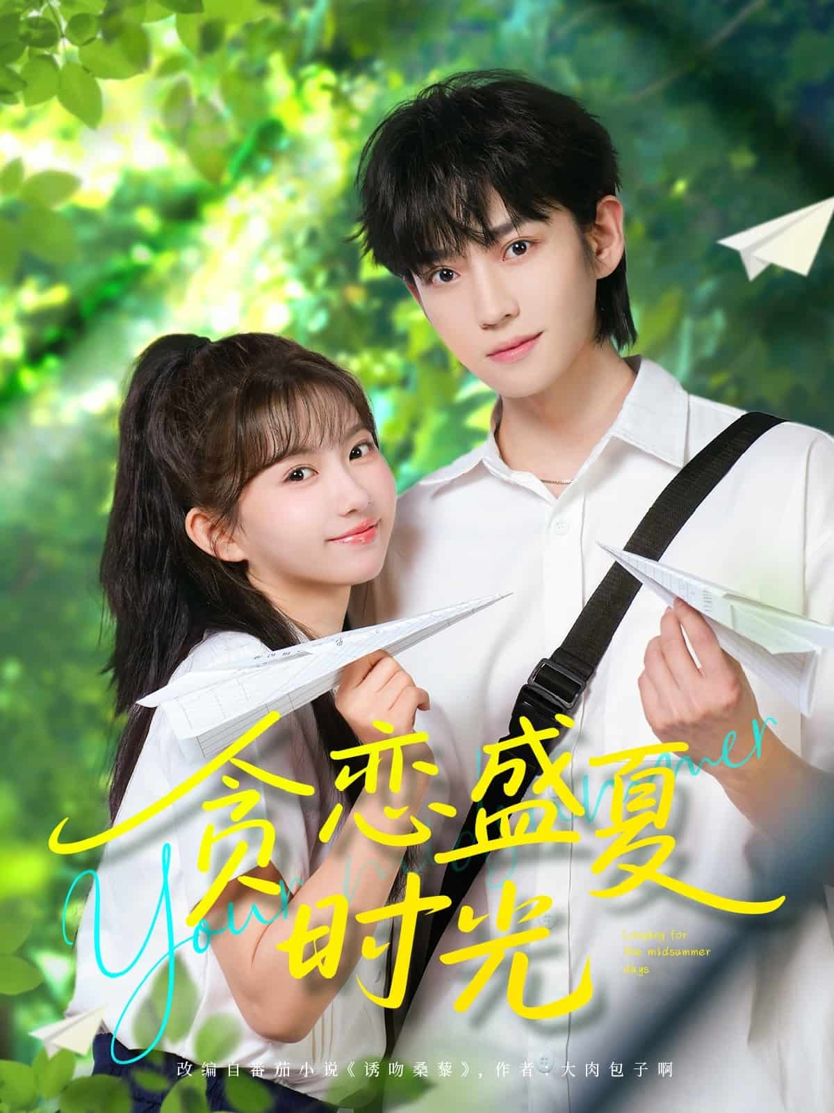 贪恋盛夏时光第12集