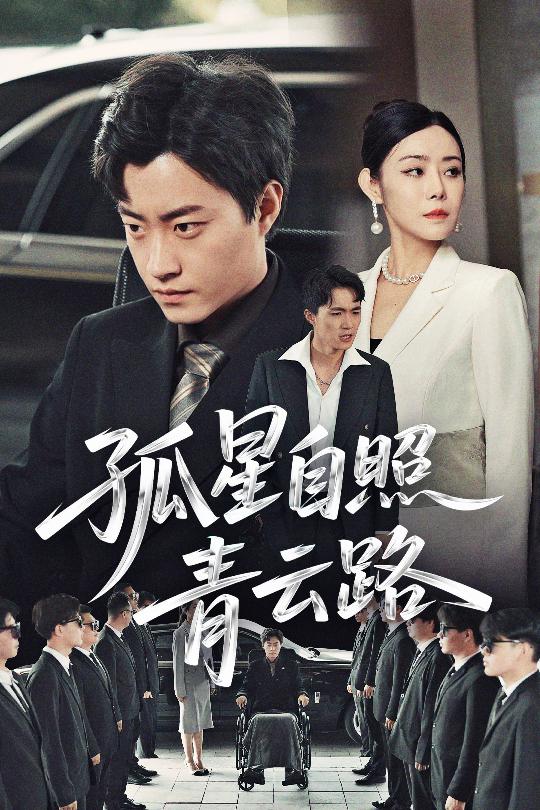 孤星自照青云路第1集