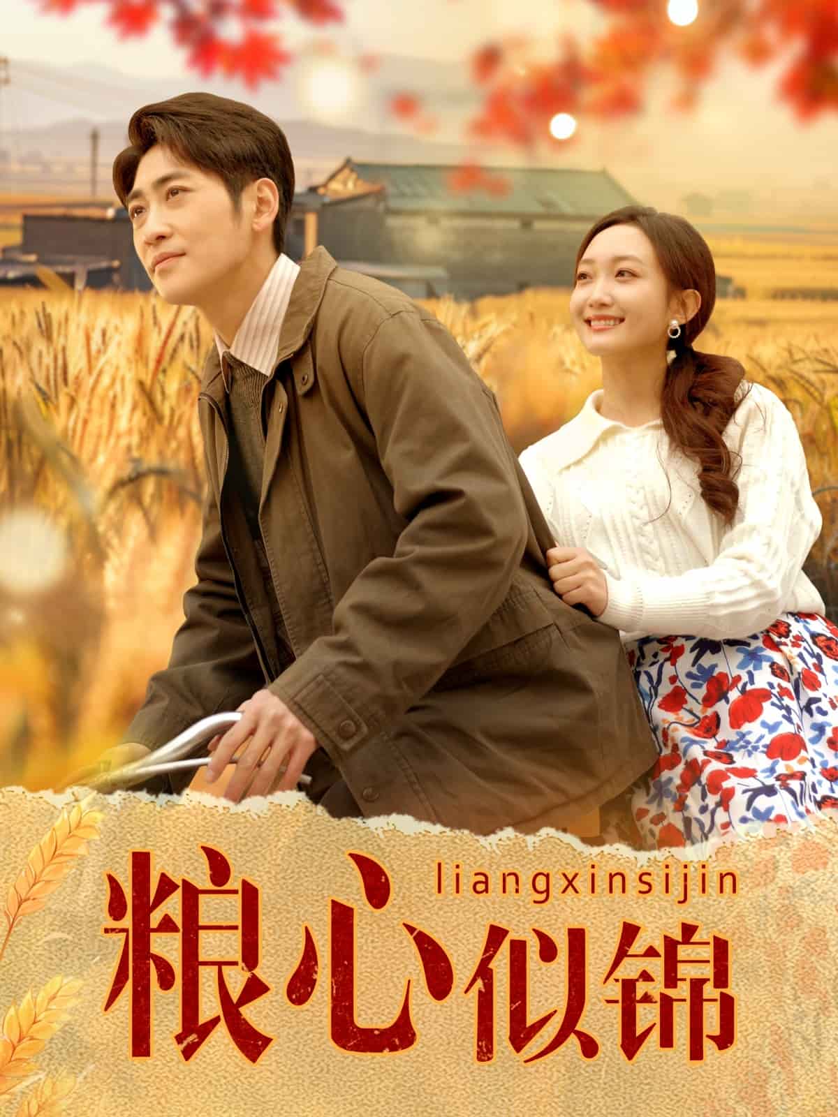 粮心似锦第1集