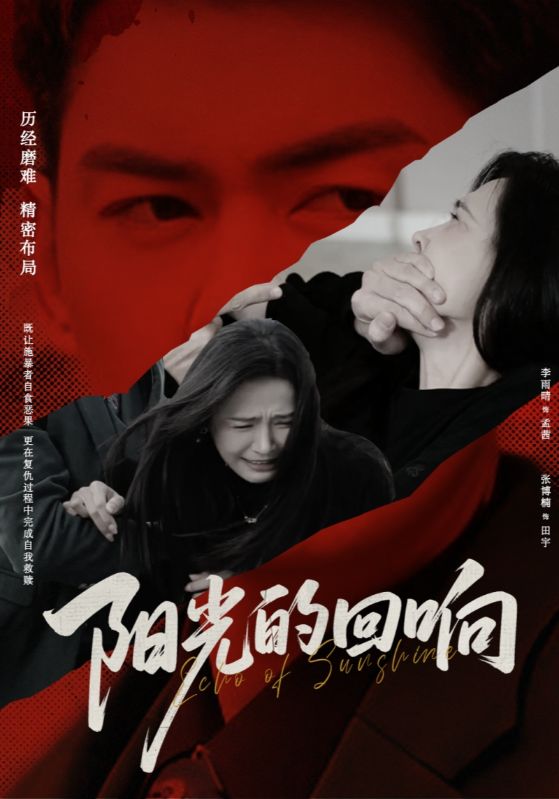 阳光的回响第1集