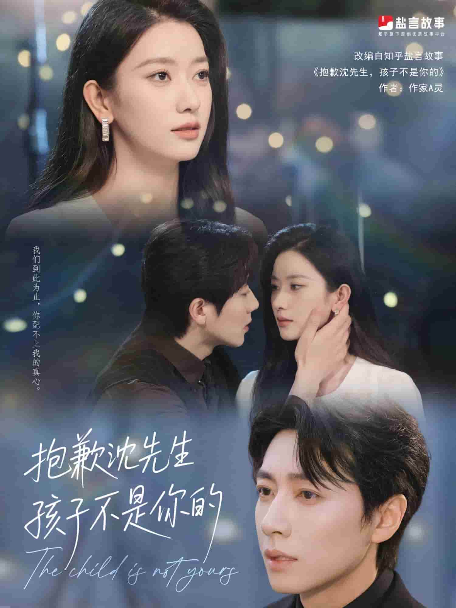 抱歉沈先生孩子不是你的第1集