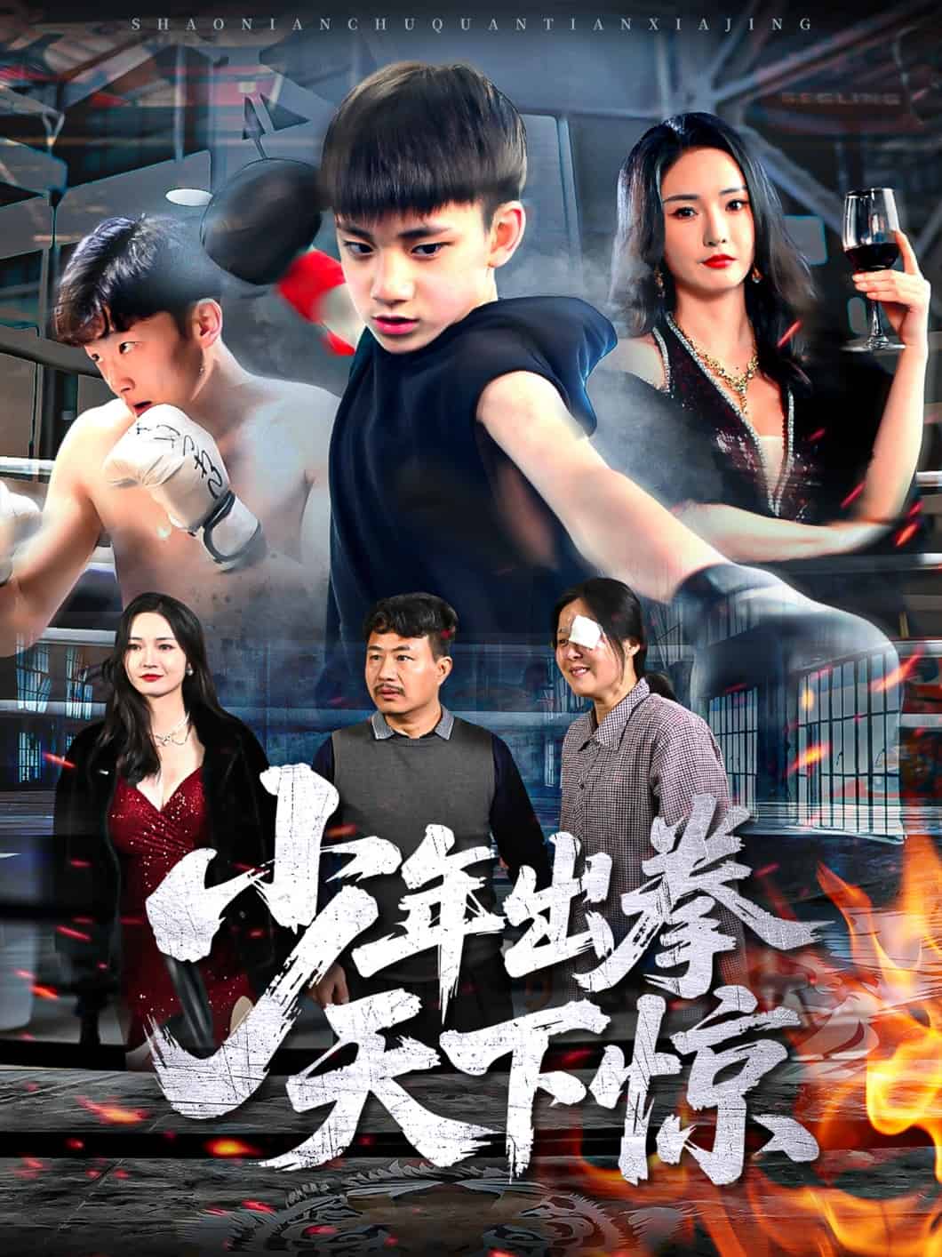 少年出拳天下惊第22集
