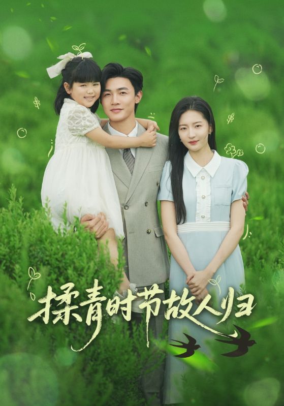 揉青时节故人归第11集