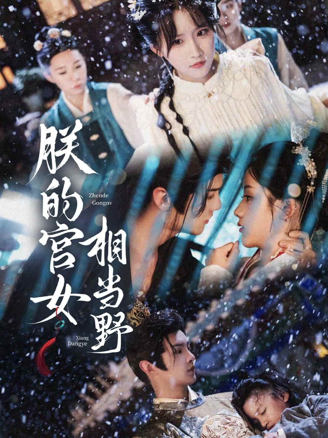 朕的宫女相当野第21集