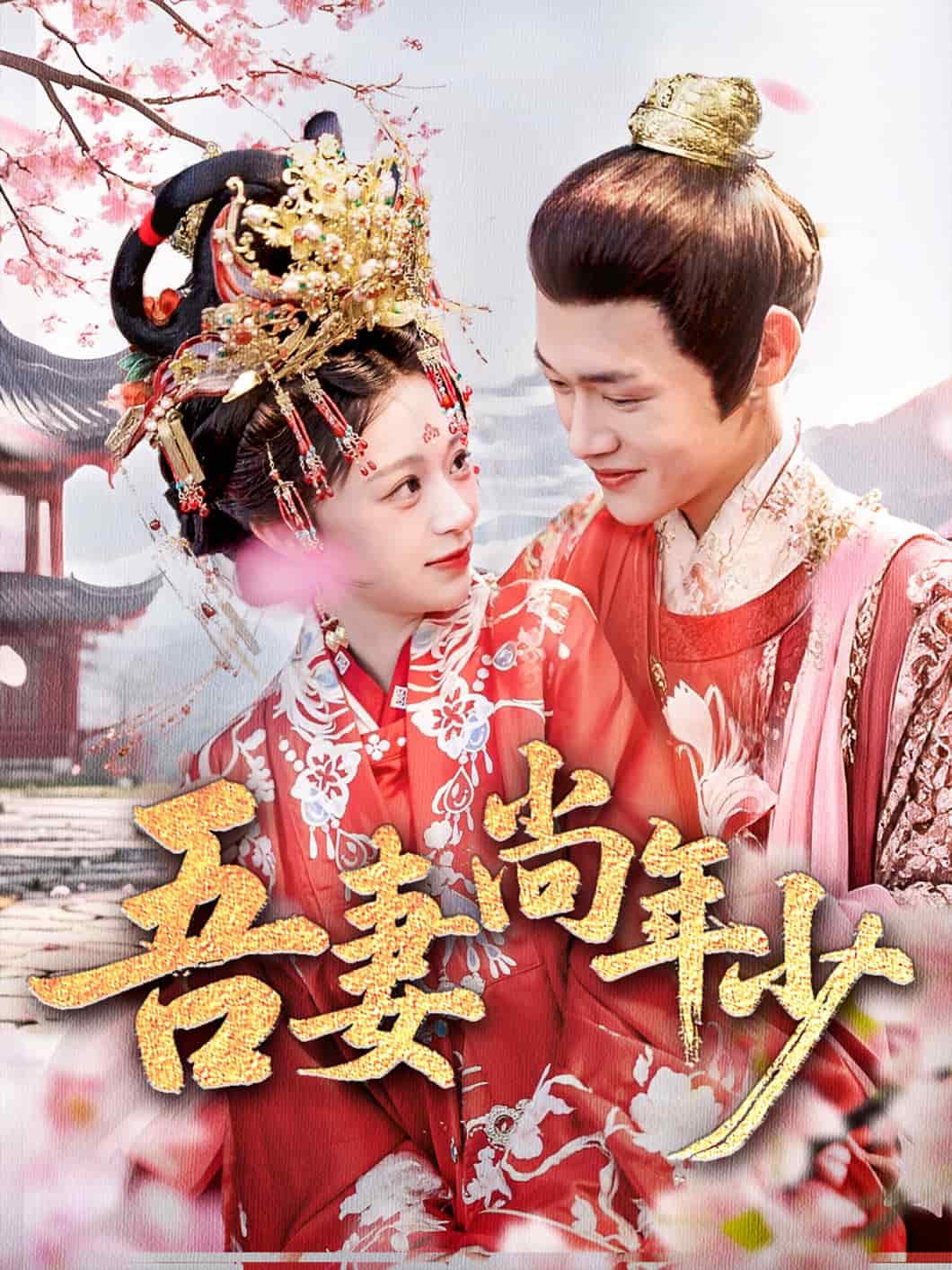 吾妻尚年少第28集