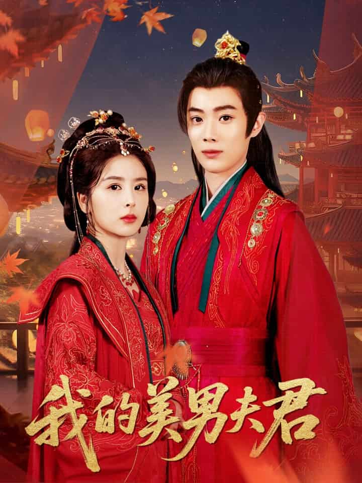 我的美男夫君第03集