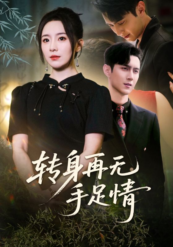 转身再无手足情第37集
