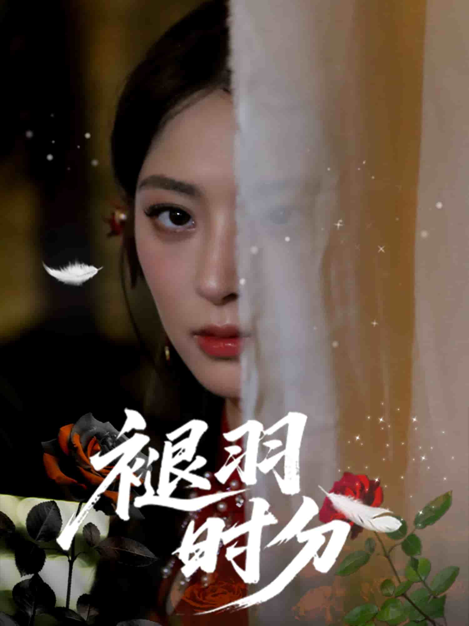 褪羽时分第22集