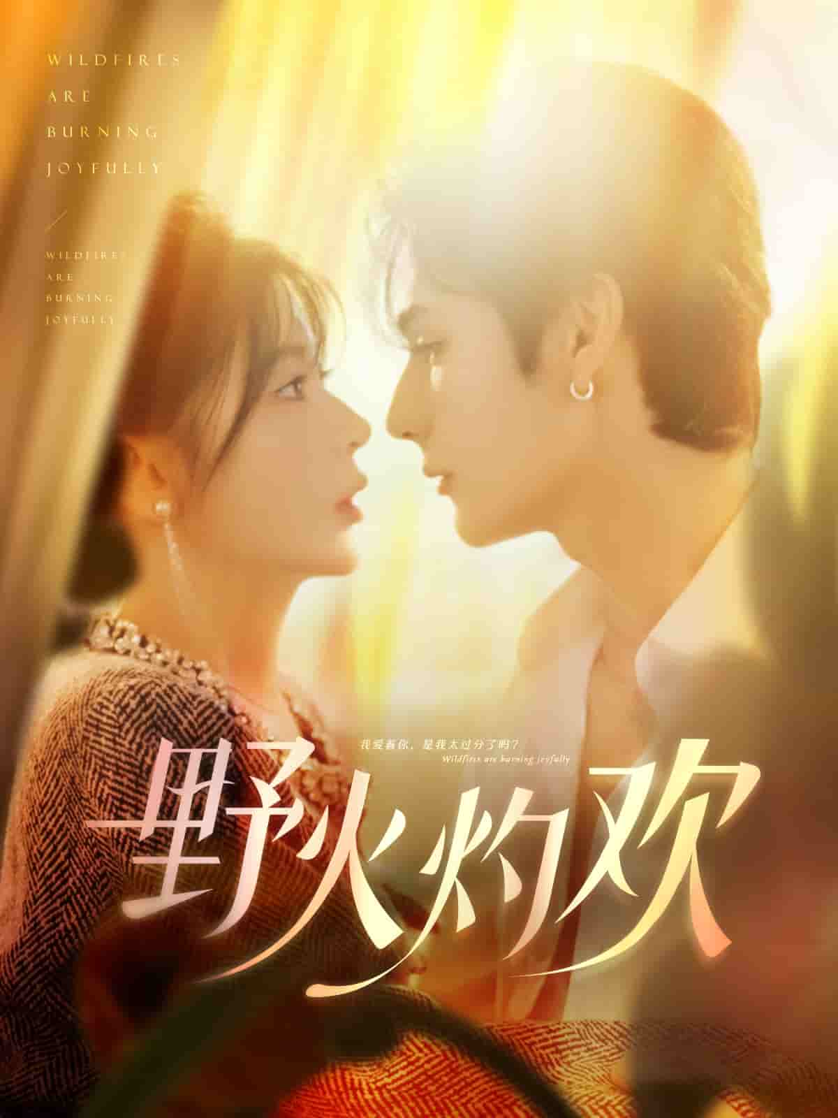 野火灼欢(全集)