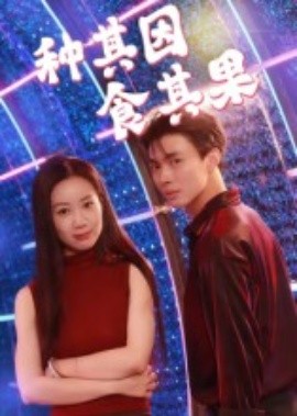 种其因，食其果(全集)