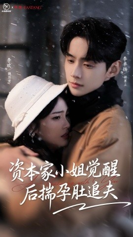 资本家小姐觉醒后揣孕肚追夫(全集)