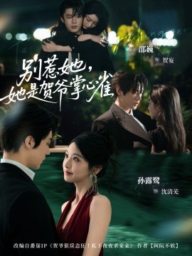 别惹她，她是贺爷掌心雀(全集)