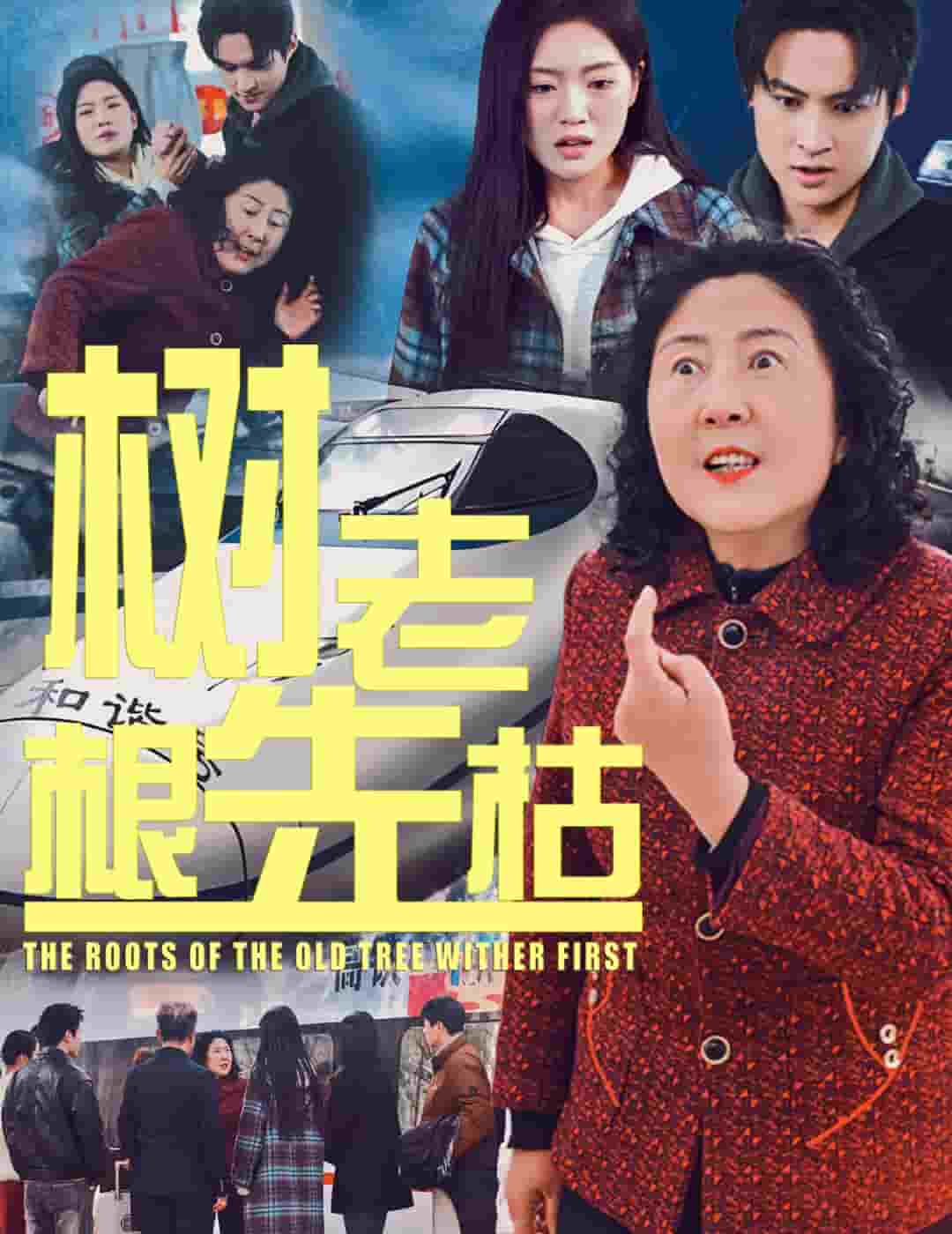 树老根先枯(全集)