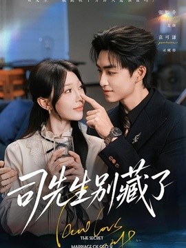 司先生别藏了(全集)