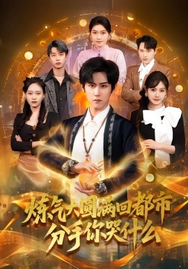 炼气大圆满回都市分手你哭什么(全集)