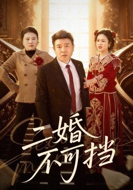 二婚不可挡(全集)