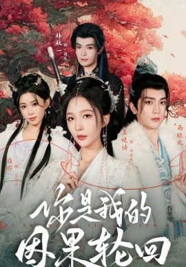 你是我的因果轮回(全集)