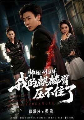 师姐别这样，我的麒麟臂压不住了(全集)